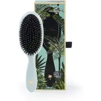 Fan Palm Medium Maldives Brush