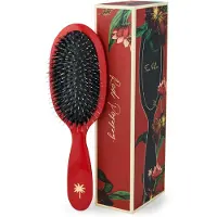 Fan Palm Medium Red Poppy Brush