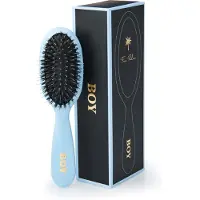 Fan Palm Small Boy Brush