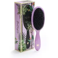 Fan Palm Medium Butterfly Brush