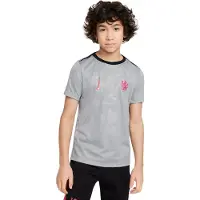 Nike Chelsea Treenipaita Dri-fit Academy Pro Pre Match 3. - Harmaa/musta/pinkki Lapset - , koko M: 137-147 cm