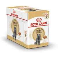 Royal Canin - Brittiläinen lyhytkarvainen aikuisten märkäruoka 85 g x 12 kpl - Annospussit - Kissat - Kissanruoka - Märkäruoka
