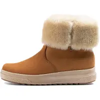 Pomar W Paljakka Gtx