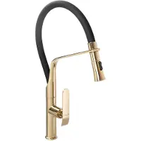 REA Castor Black Gold keittiöhana