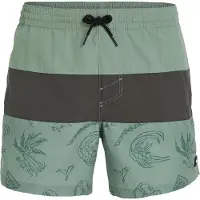 O'Neill Mix & Match Cali Block 15'' Surffishortsit green vintage surfer Koko S