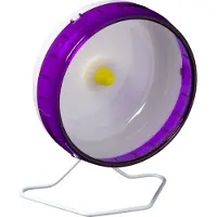 Beeztees juoksupyörä jyrsijöille, 16,5 cm, eri värejä