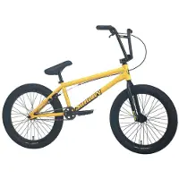 Sunday Scout 2023 Bmx Rad