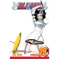 Kubo, Tite Bleach, Vol. 29