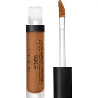 bareMinerals BarePro All Over Skin Perfecting Conceal, 450 Medium Deep Warm