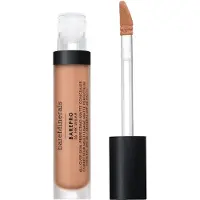 bareMinerals BarePro All Over Skin Perfecting Conceal, 255 Light Neutral