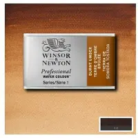 Taidepiste WN Professional akvarelli 076 Burnt umber - 1/1 nappi