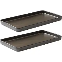 Aida - Raw Lautanen 34x18 cm 2 kpl Metallic Brown