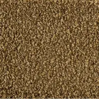 Artwood Matto Cape cognac 2 x 3 m