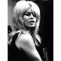 Artwood Seinäkoriste Bardot 80 x 120 cm
