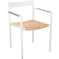Brafab DK käsinojatuoli light grey