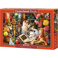 Castorland Wizard Kittens 1000p palapeli