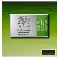 Taidepiste WN Professional akvarelli 503 Permanent sap green - 1/1 nappi