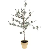 Mr Plant , Lehtikuusi 100 cm