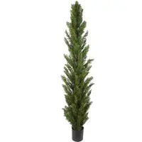 Mr Plant , Sypressipuu 210 cm