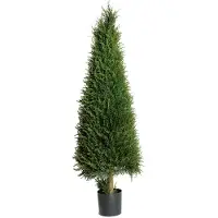 Mr Plant , Kuusipuu 110 cm