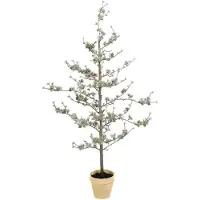 Mr Plant , Lehtikuusi 135 cm