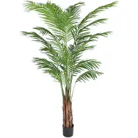Mr Plant , Arecapalmu 210 cm