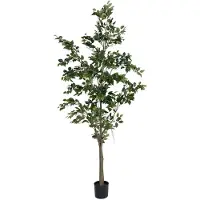 Mr Plant Benjamin Viikuna 240 cm