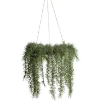 Mr Plant , Riippuva joulukranssi