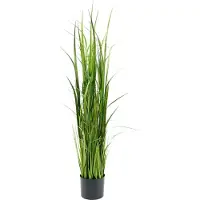 Mr Plant , Ruoho 135 cm