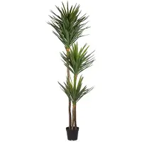 Mr Plant , Jukka Puu 250 cm