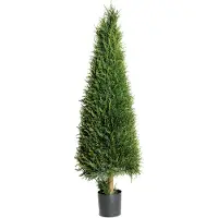 Mr Plant , Kuusipuu 165 cm