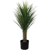 Mr Plant Yucca Rostrata Puu 100 cm