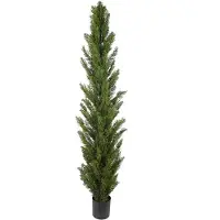 Mr Plant Sypressipuu 120 cm
