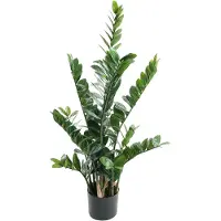 Mr Plant Zamifolia Huonekasvi 110 cm