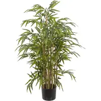 Mr Plant , Bambu 120 cm