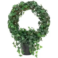 Mr Plant , Muratti 85 cm
