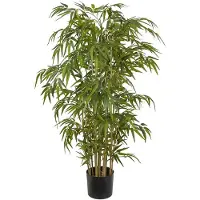 Mr Plant Bambu 150 cm