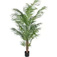 Mr Plant Arecapalmu 180 cm