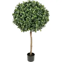 Mr Plant , Lagerlaakeripuu 135 cm