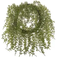 Mr Plant , Kranssi 50 cm