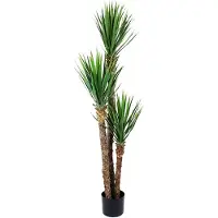 Mr Plant , Yucca Rostrata Puu 150 cm