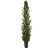 Mr Plant , Sypressipuu 180 cm