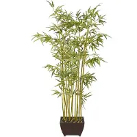 Mr Plant Bambu 190 cm