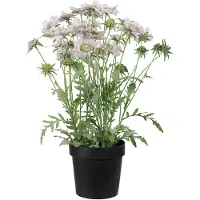 Mr Plant , Leimukukka Huonekasvi 70 cm Vaaleanpunainen