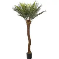 Mr Plant Cycas Palmu 120 cm