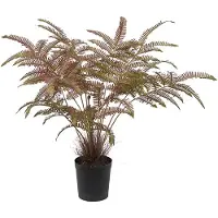 Mr Plant , Saniaiset 70 cm