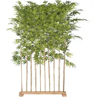 Mr Plant , Bambu 190 cm