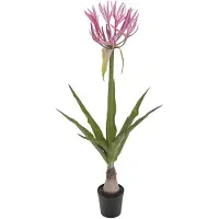 Mr Plant , Nerine Huonekasvi 125 cm Pinkki