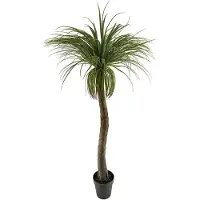 Mr Plant Pullo lilja 180 cm