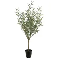 Mr Plant Oliivipuu 130 cm